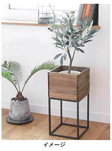 Murataya Sangyo Iron Pot Stand with Wood Box, LL, Black