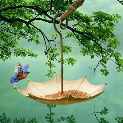 Pájaros – Alimentación y suministros de riego