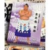 Sumo Card Go 2026 BBM Regular Card Complete Set of 81 Types