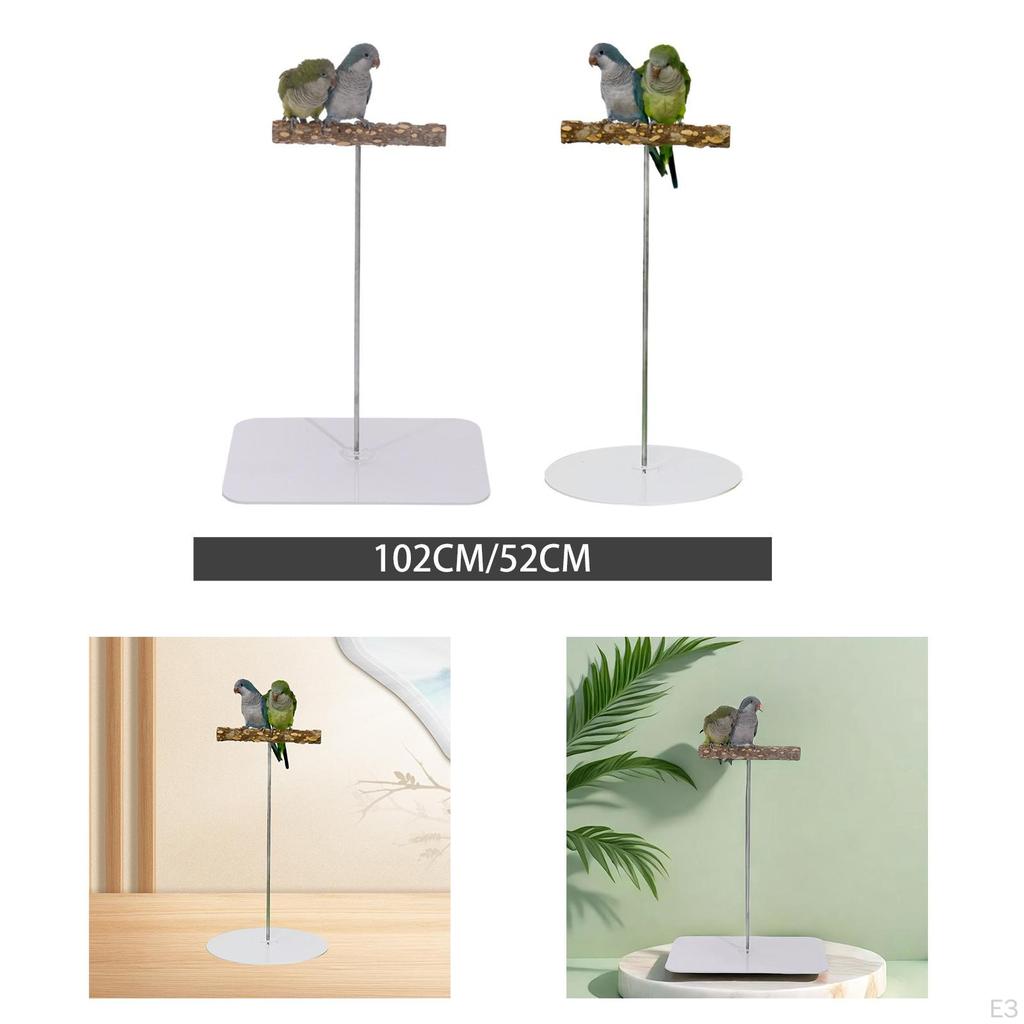 Bird Perch Stand Play Gym Playpen Practical Chewing Biting Toy Playground