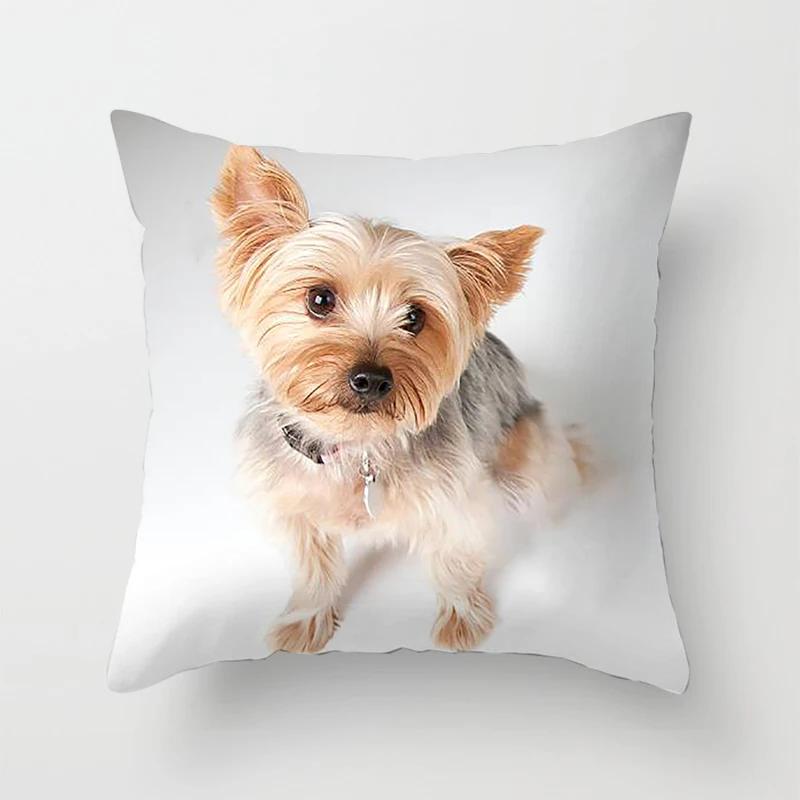 Bedroom Sofa Waist Cushion Cover Car Decorative   Cute Dog Yorkie  Yorkshire Decor Print Pillowcase