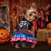 Soft Halloween Pet Cake Dress Comfortable Pet Skeleton Dress Dog Tutu Dress  Cosplay
