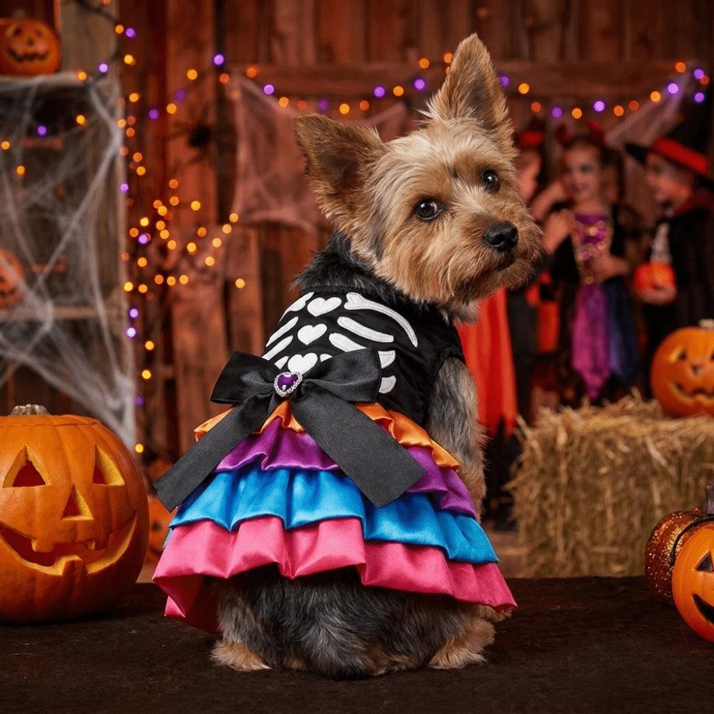 Soft Halloween Pet Cake Dress Comfortable Pet Skeleton Dress Dog Tutu Dress Cosplay