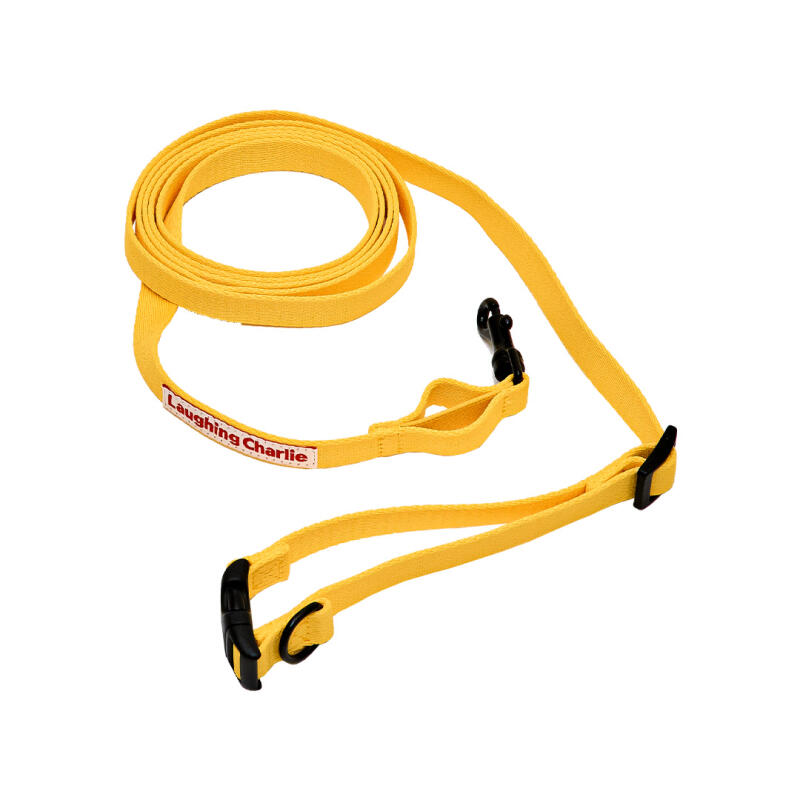 Hands-free leash for walking
