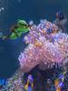 Aquarium Desktop Kleine Fische Tank Dekoration Ornament Taucher Schwimmende Kreative PVC Puppe