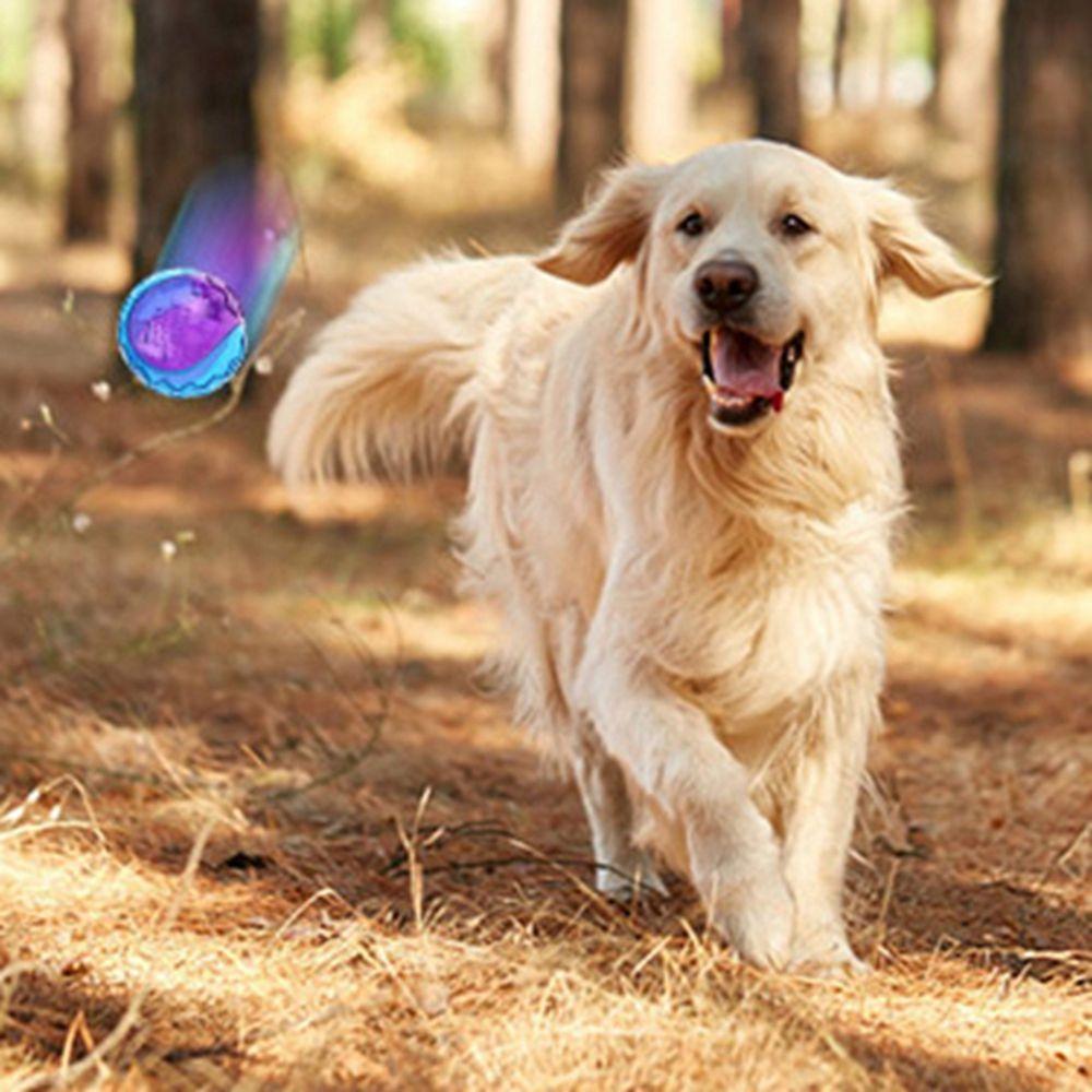 Toys Pet Supplies Relieve Boredom Outdoor Play Sounding Toy Molar Ball Elasticity Ball Dog  Toy