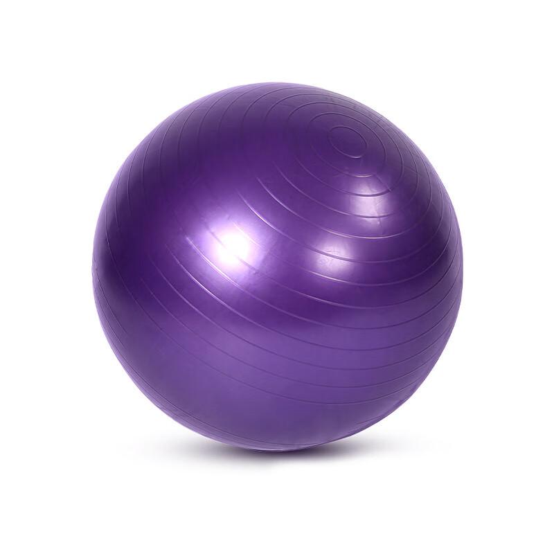 WEZHO 65cm Thickened PVC Yoga Fitness Ball