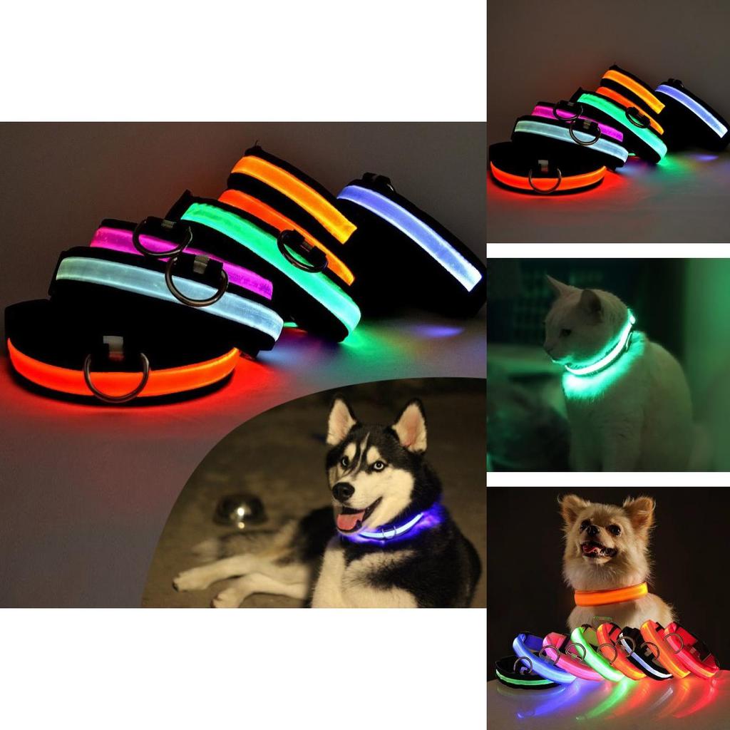 Glowing Led Dog Collar Adjustable Usb Rechargeable Nylon Pet Collar For Night Safety