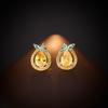 Women's Light Luxury Design Elegant Zircon Geometric Fruit Earrings Fashionable And Versatile Niche Design Earrings