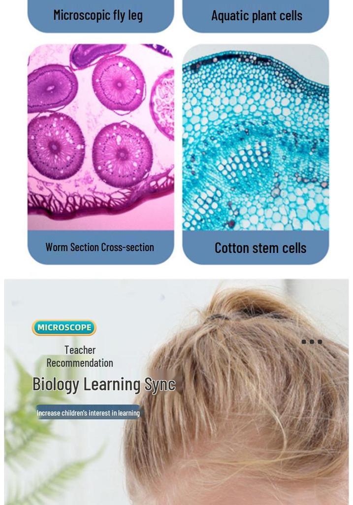 1200x HD Kids' Microscope Science Set - STEM Biology Educational Toy for Primary Students