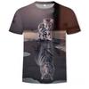 Summer Round Neck 3D Cute Cat Print Top Fashionable Casual Short Sleeved Men's T-shirts