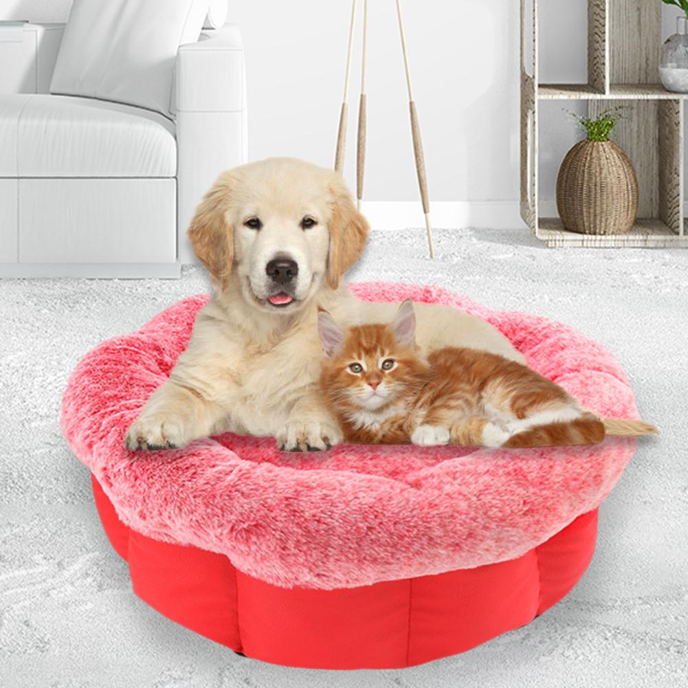 pet lounger bed