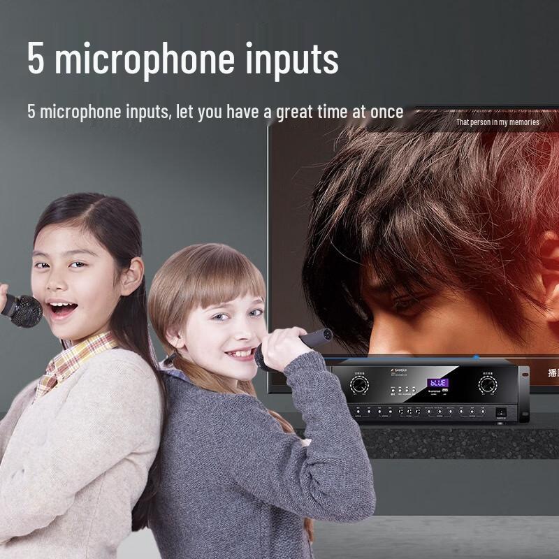 SANSUI DM2 Home KTV Power Amplifier