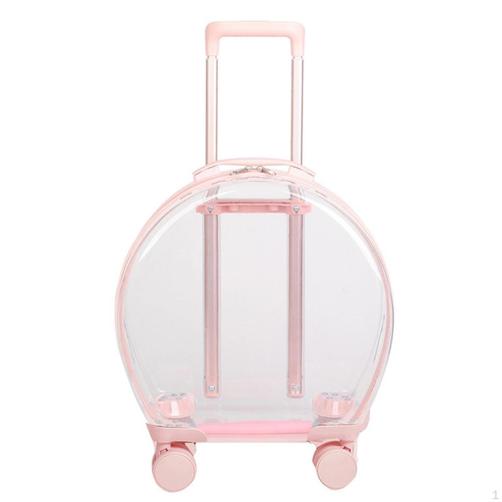 Cage de transport transparente pour animaux de compagnie avec roues, transparente, roulante, construction robuste, bagage pour chats, petits animaux