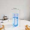 Acrylic Transparent Box Vase Desk Decorative Ornaments Spherical Crafts Room Abstract Art Decoration Geometric Decoration