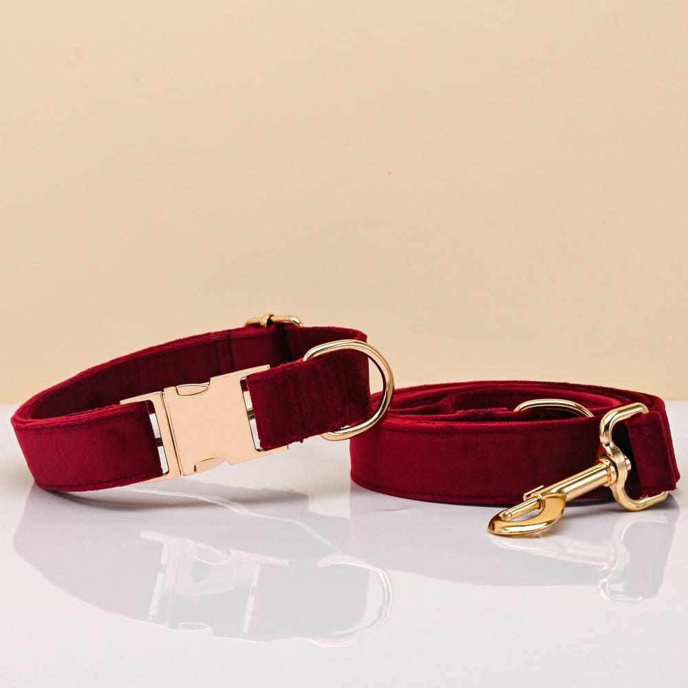 Ensemble collier et laisse pour chien en velours gravé avec boucle métallique réglable