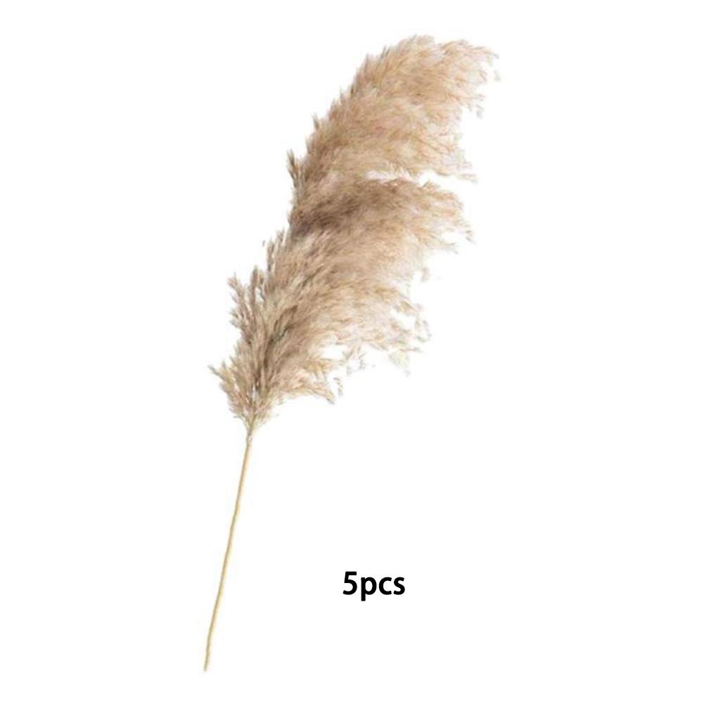 1 Bunch Dried  Reed Flowers Natural Plant Dried Pampas Grass Ornaments For Living Room Dining Tables Party Hallways Decoration