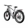 Elektrofahrrad Duotts F26, Doppelmotor 750W, 48V 20AH Akku, Höchstgeschwindigkeit 55 km/h, Reichweite 120 km, 26x4,0 Zoll Reifen