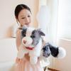 40/50CM Four Colours Border Collie Collar Style Plush Toys Soft Stuffed Puppy Doll Funny Accompany Toys for Kids Gifts