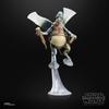 Hasbro STAR WARS Black Series Star Wars Episode Attack of the 15cm Collectible Action Figure G2591 Watto, II Clones, (Authentic)