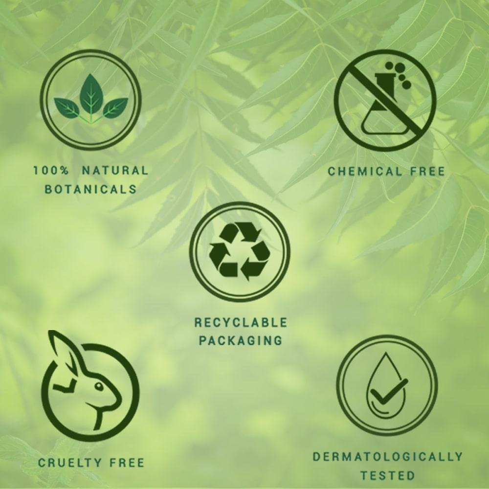 Biotique Neem Shampoo And Conditioner 650ml Anti Dandruff Treatment For Dry Itchy Scalp Hair Growth Fresh Lustrous
