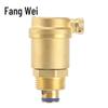 Fangwei ZP88-16T Messing Automatische Entlüftungsventil