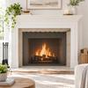 2 Pieces Ignite Guard Curtain Replacement for Wood-Combustion Fireplaces