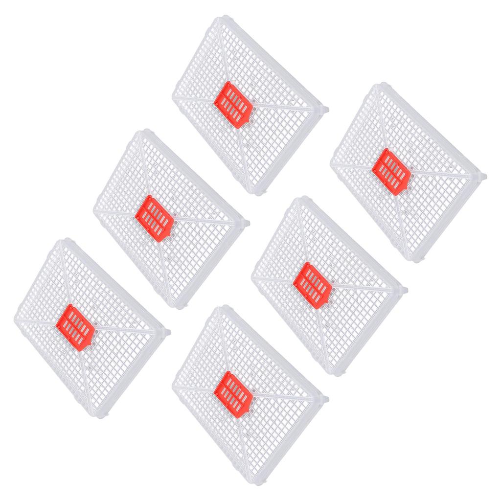 6pcs Plastic Square Buckle Queen Bee Cage Beekeeping Cage for Artificial Swarming Introduction of
