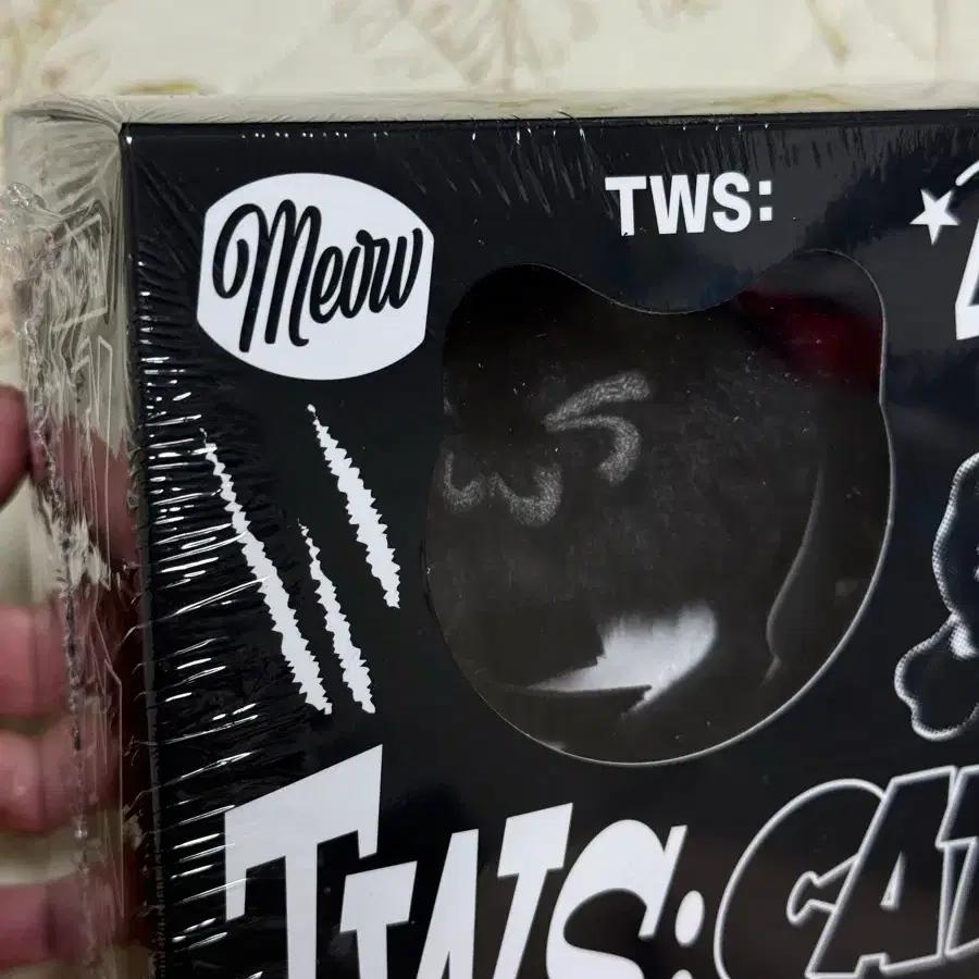 TWS no tragedy Romeo Cat Two Cats Album sealed New product