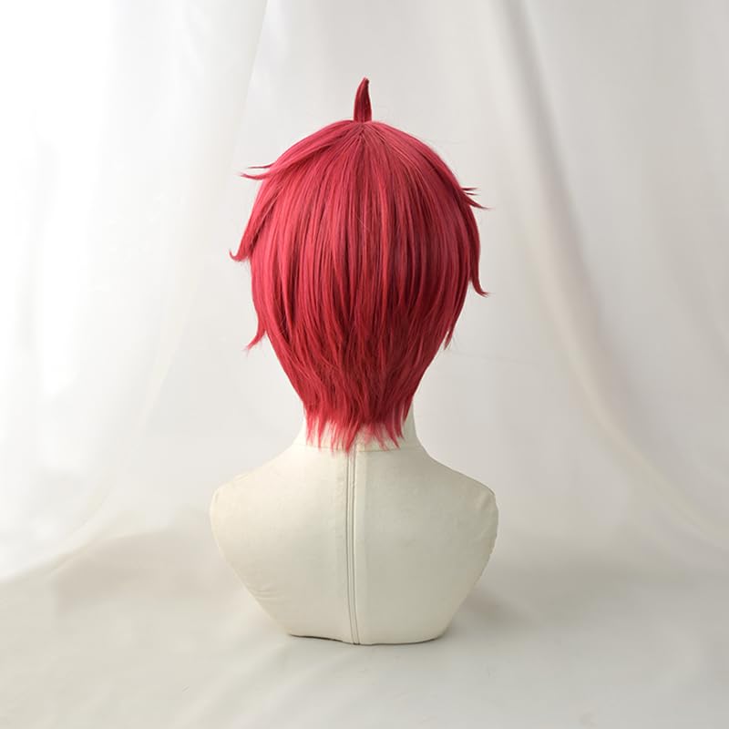 SUNXXCOS Dandadan Cosplay Wig Heat Resistant Wig Costume Accessory (Enjoji Jin)