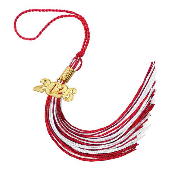 Graduation Tassels College High School Graduate Students Class of 2026 Cap Tassel Decorative