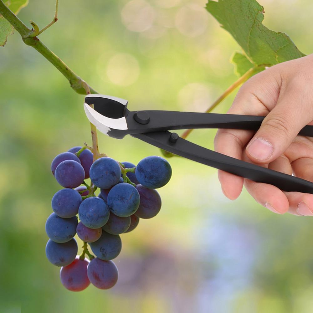 Concave Edge Bonsai Branch Cutter Black Gardening Scissors Shears Durable Bonsai Modeling Tool
