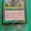 Used Magic: The Gathering Japanese Edition, Lox, Unopened, Rare