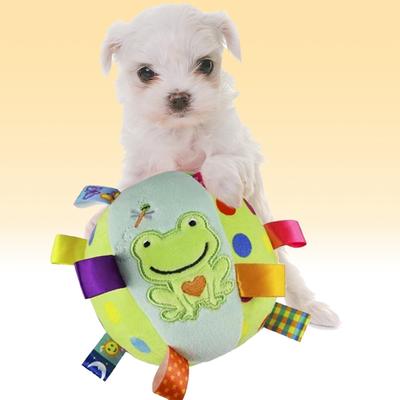 Juguemos Juguete para Perro Squeak Tipo Animal Rectangular, 1 Pieza, Yeonnok (Rana)