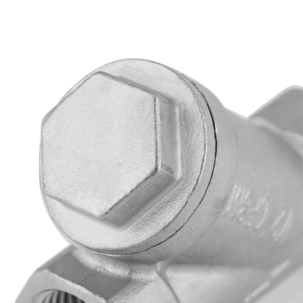 DN15 12" PT Thread Stainless Steel Y Type Strainer Pump Filter for Water Gas