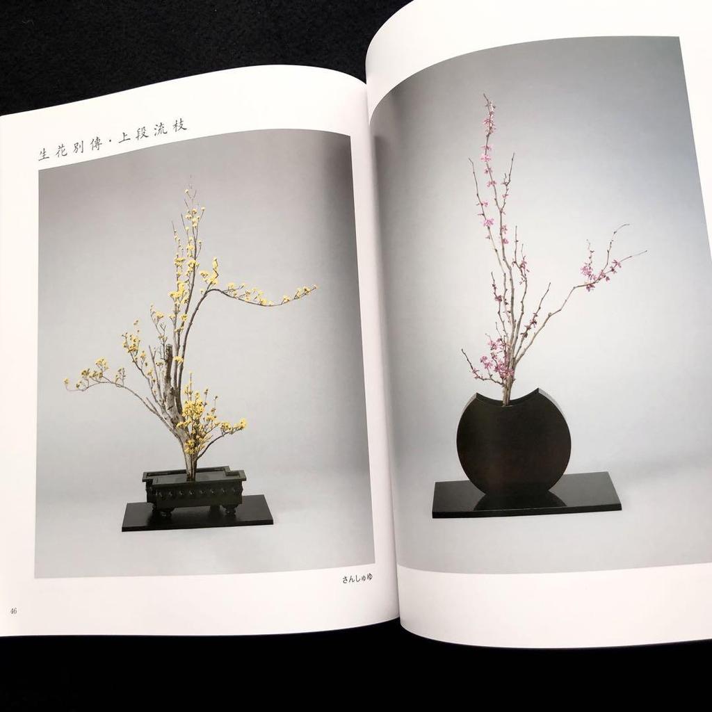 [USED] Kobayashi Shunso's Collection of Works "Flower Makeup - From Two To Three Yin and Yang" 2024, Nippon Kadosha