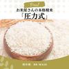 Zojirushi Home Rice Polishing Machine, Fresh Flavor, Large Capacity Type, 1 Go - 1 Sho (10 Go) Pressure Type, 15 Levels of Rice Polishing Level, Inclu