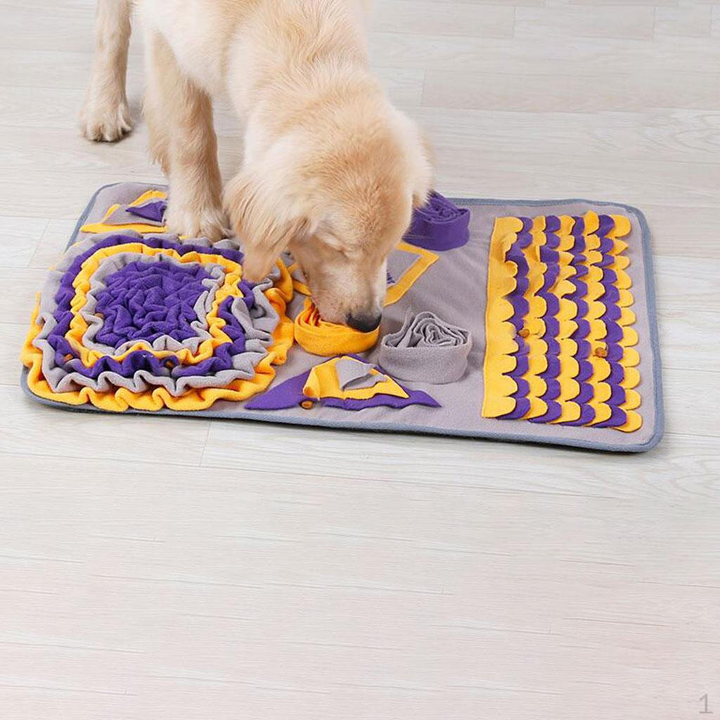 Smelly Matty Interactive Enrichment Puzzle Toy Package Mind Stimulating Brain Games for Boredom