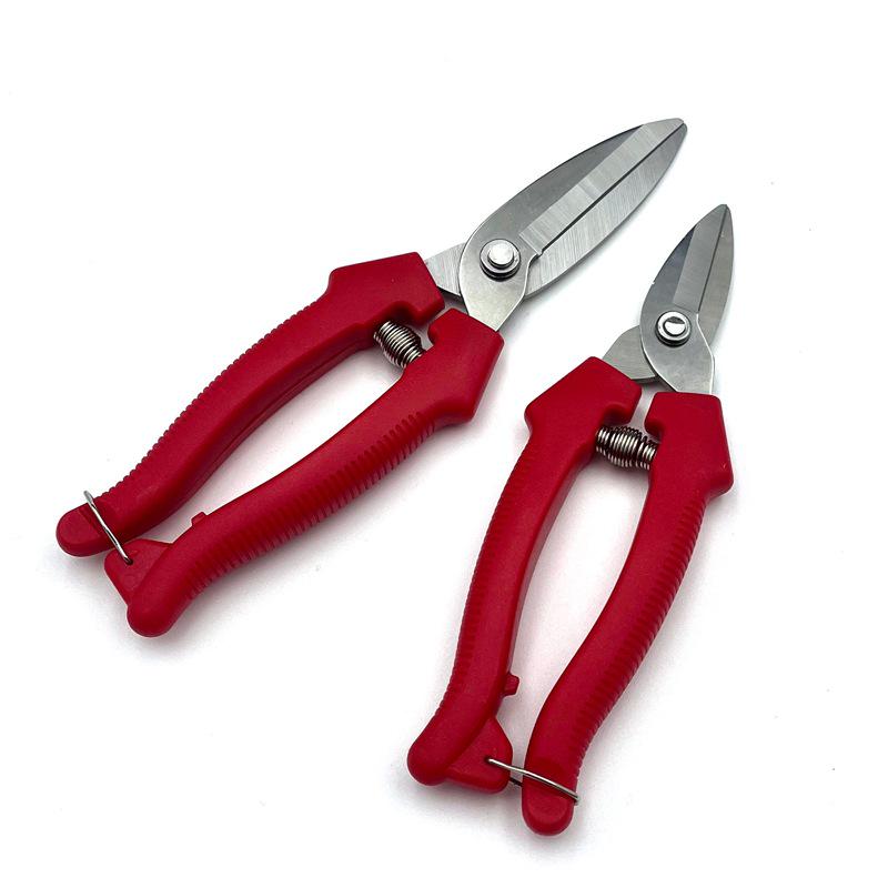 Stainless Steel Pruning Scissors for Garden, Branch, and Flower Arranging