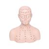 Realistic Massage Therapy Head Model Featuring Stable Filling Structure And Ergonomic Design For Beauty Academies