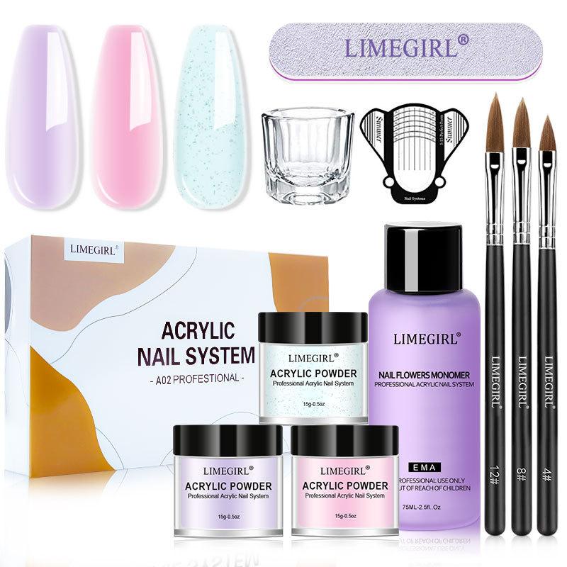 Nail Art Beginner Crystal Nail Kit White Clear Pink Powder Set 12 Colors Glitter French Nail Tips