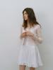 Sinseuden French Embroidered Mini Dress