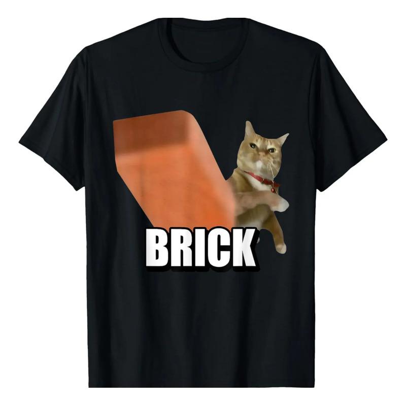 Divertido Gato Tirando Ladrillos Meme De Gatos Tontos Brainr S