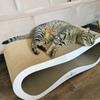 Leon cat scratching post | white 40cm | 78x28x40 cm | MruuPruu