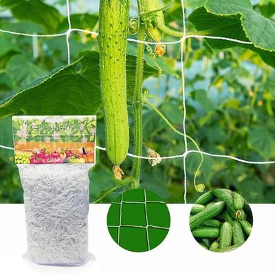 Progettazione giardini e paesaggi – Supporti per piante