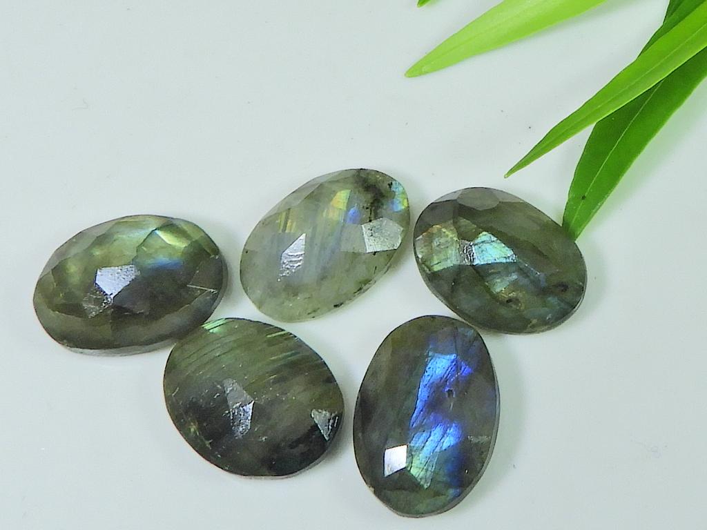 12X17MM Natural Labradorite Checker Cut Oval Cabochon Gemstone 5 Pcs Lot LM-1207