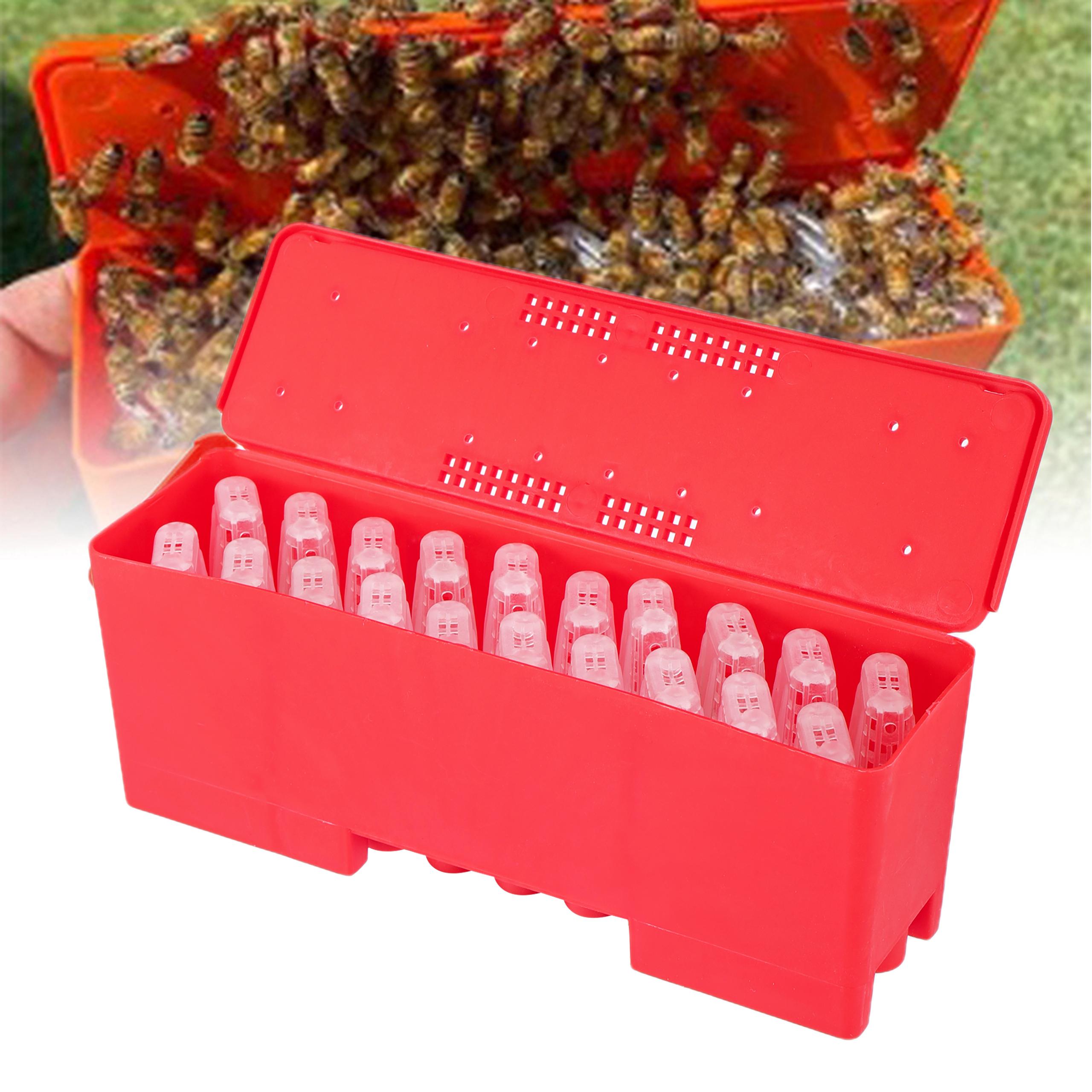 Beekeeping Transportation Cage New style Bee Cage Transparent Red Plastic King Cage Queen Rearing Prisoner King Cage Escape Box