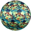 Winx Club Theme Size 5 Soccer Ball, Suitable for Both Indoor and Outdoor Matches, a Gift Suitable for Everyone.
