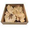 Dried Huba - Natural 1 Piece