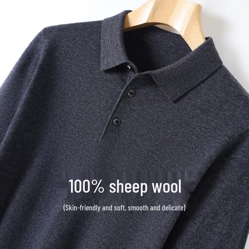 Antonio Men's Merino Wool Polo Sweater